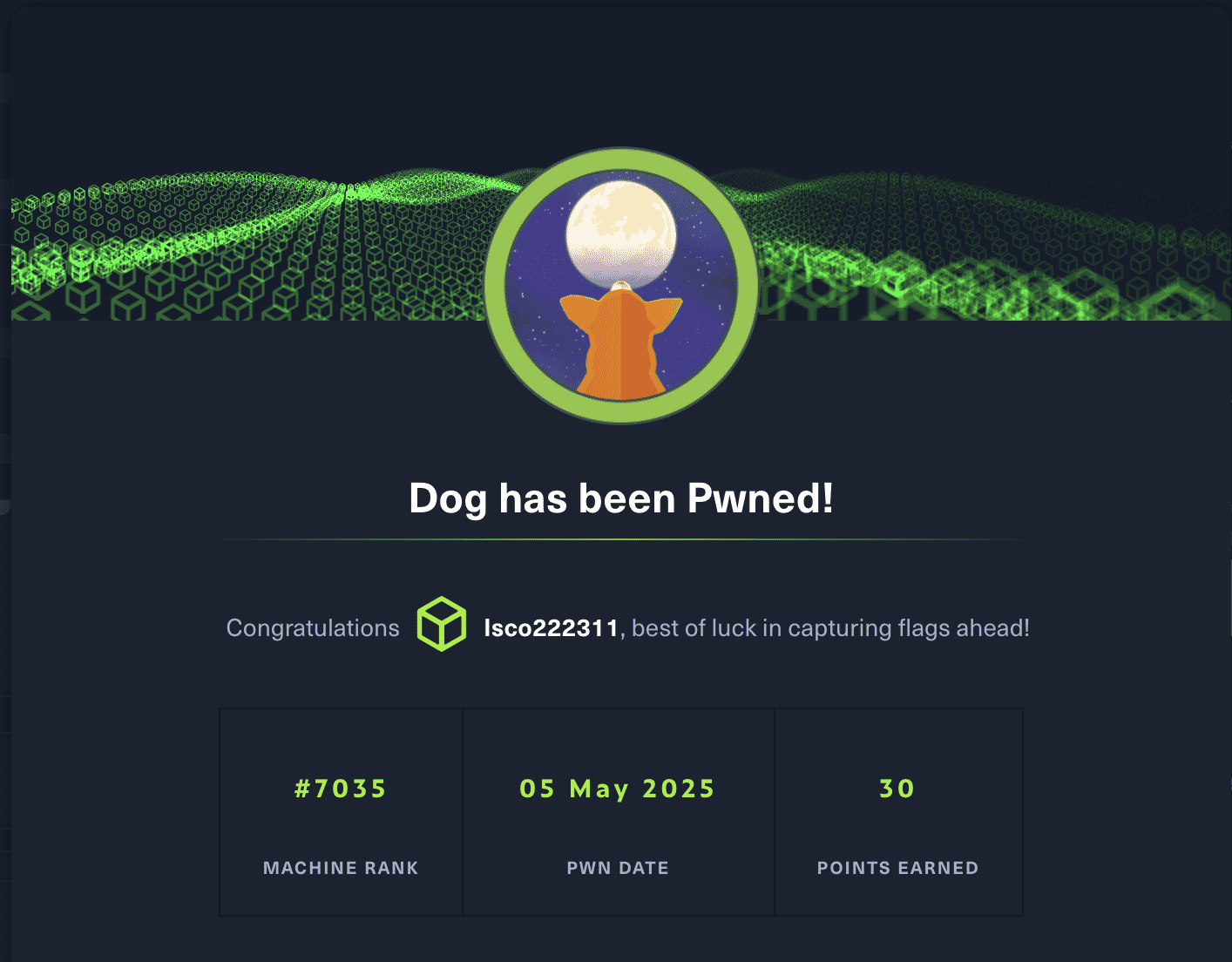 Dog