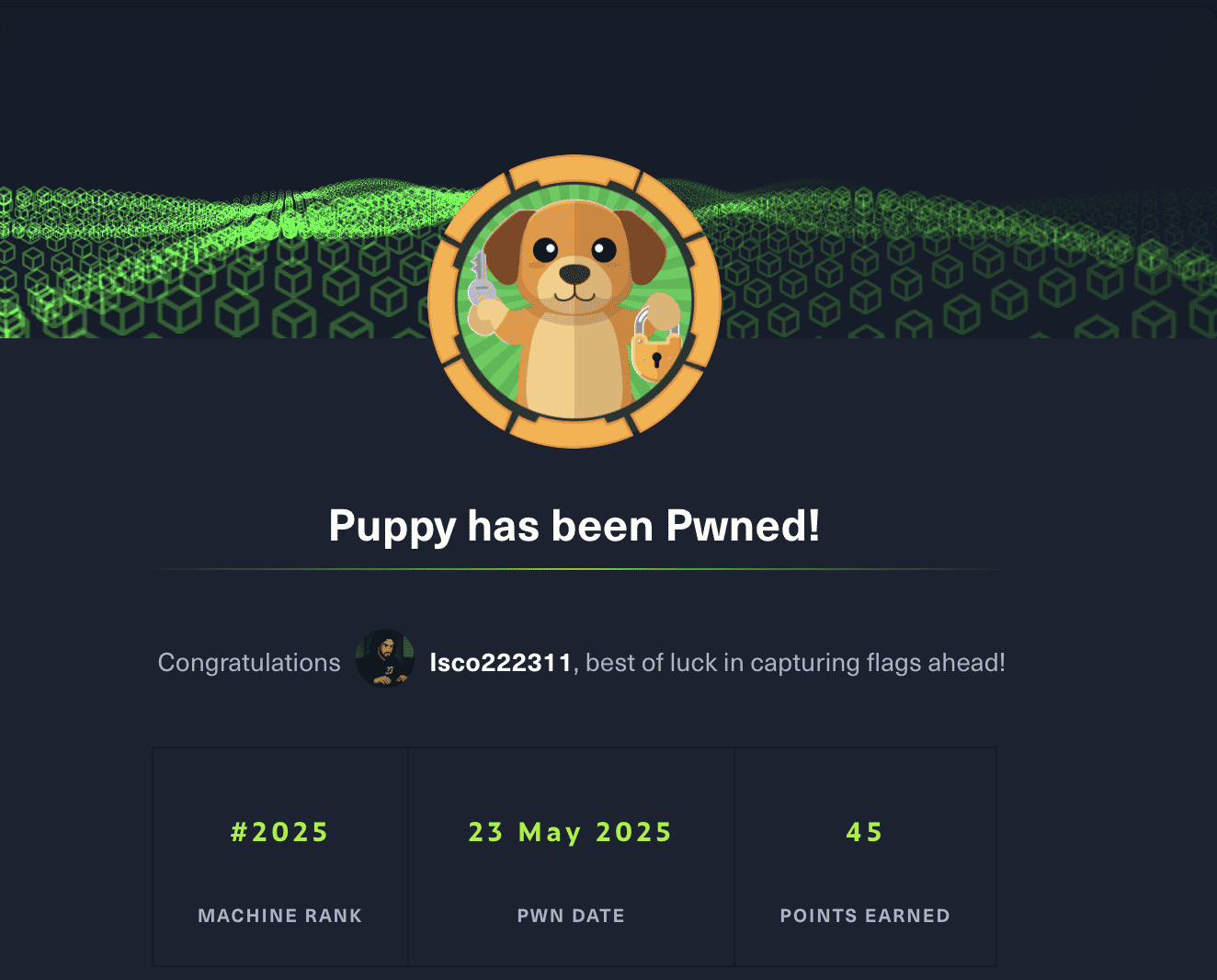 Puppy