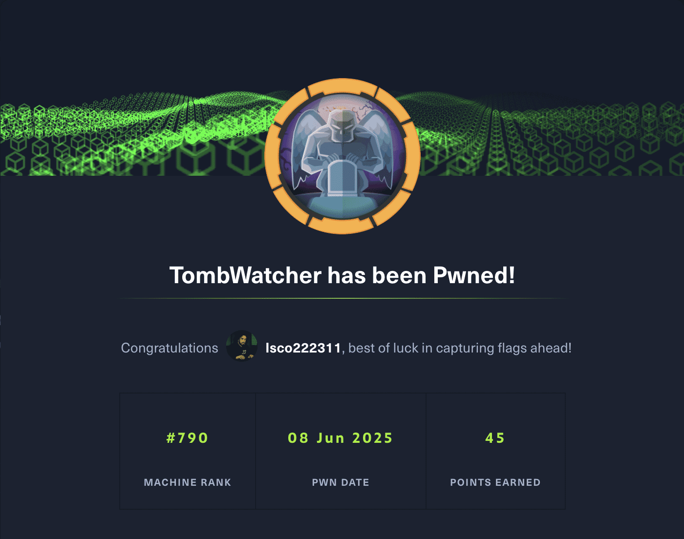 Tombwatcher